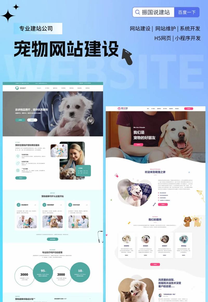 寵物網站建設 設計與實現全流程指南